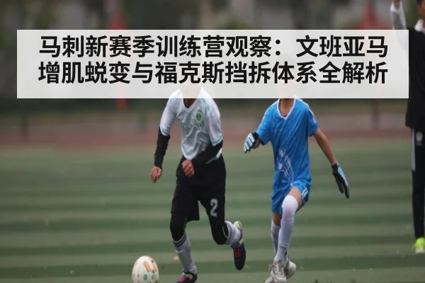 马刺新赛季训练营观察:文班亚马增肌蜕变与福克斯挡拆体系全解析